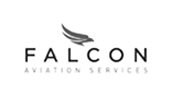 Falcon Aviation Services