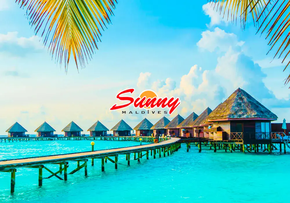 Sunny Maldives, a SilverHost client in the Maldives